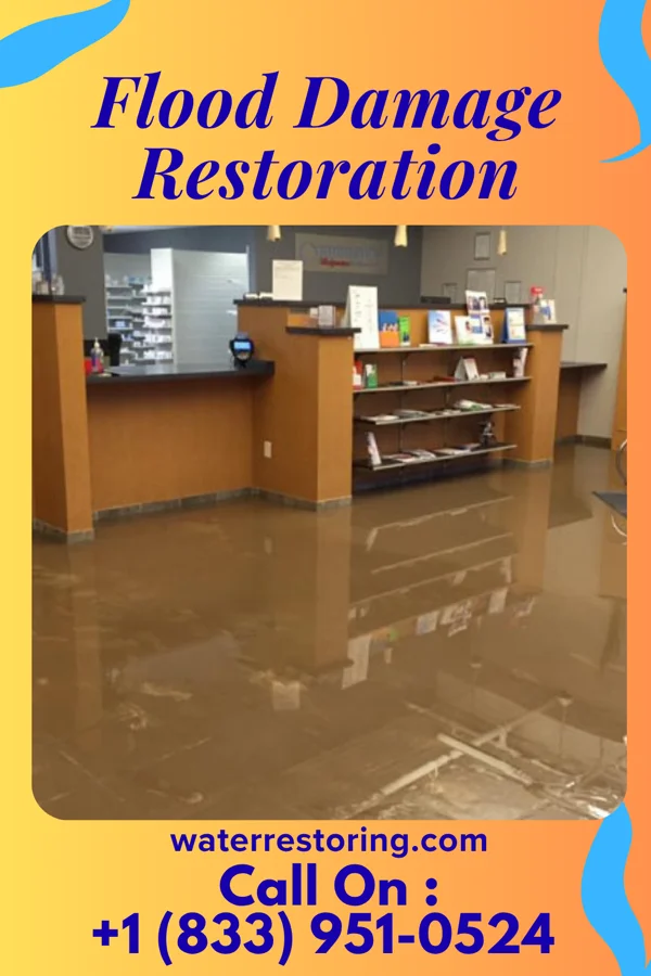 Flood Damage Restoration in Mayville, WI