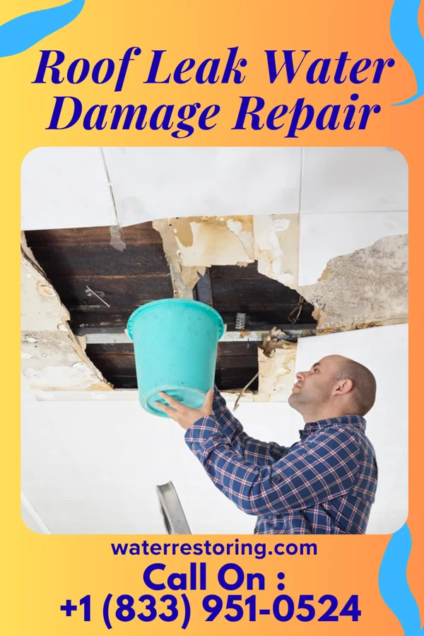 Roof Leak Water Damage Repair in Mayville, WI