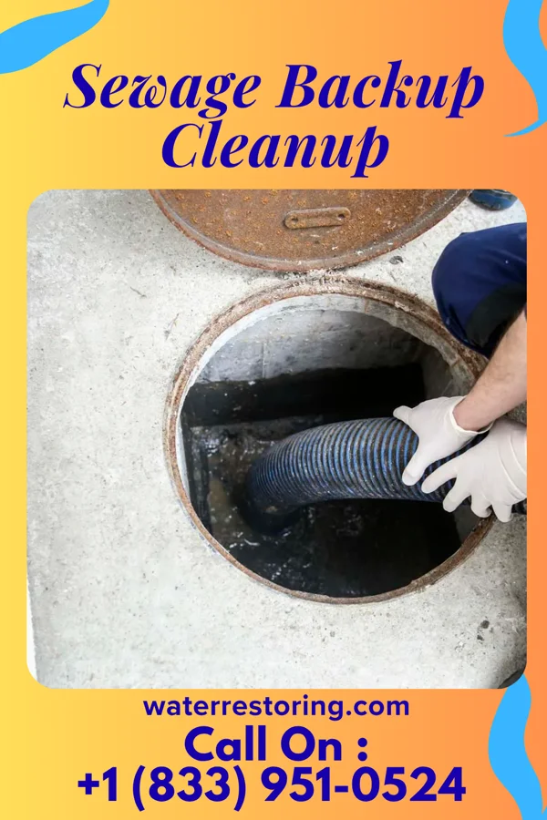 Sewage Backup Cleanup in Mayville, WI