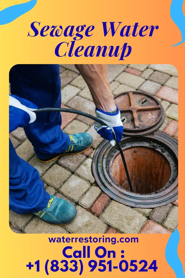 Sewage Water Cleanup in Mayville, WI