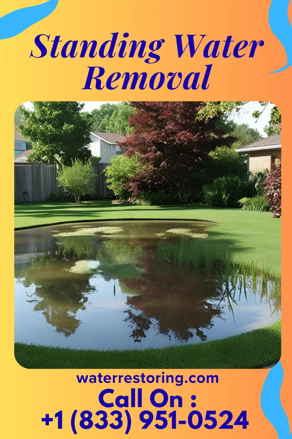 Standing Water Removal in Mayville, WI